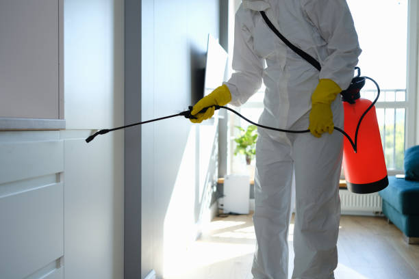 Biohazard Mold Removal in Deale, MD